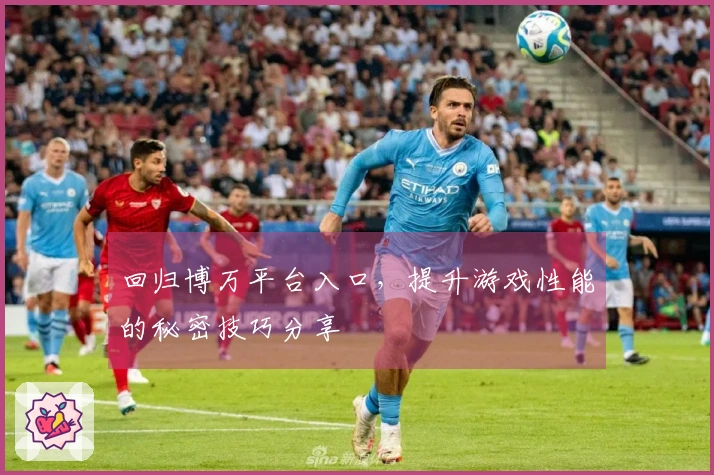 回归博万平台入口，提升游戏性能的秘密技巧分享