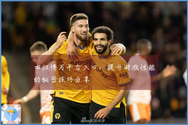 回归博万平台入口，提升游戏性能的秘密技巧分享